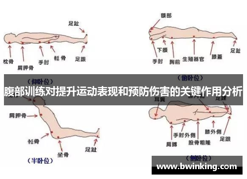 腹部训练对提升运动表现和预防伤害的关键作用分析