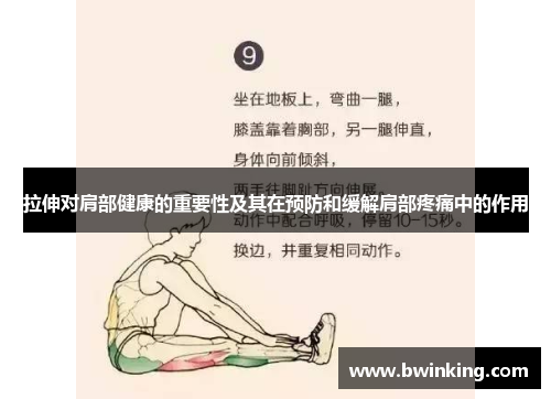 拉伸对肩部健康的重要性及其在预防和缓解肩部疼痛中的作用